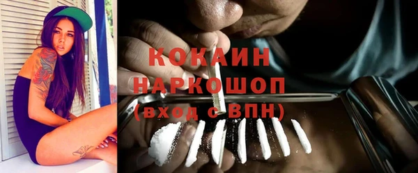 соль ск Алзамай