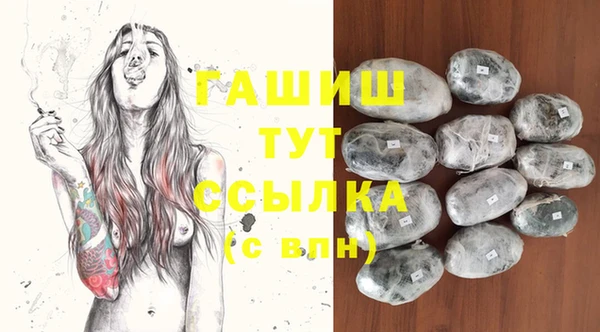 соль ск Алзамай