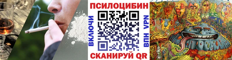KRAKEN ТОР  Рыбное  Псилоцибиновые грибы прущие грибы 